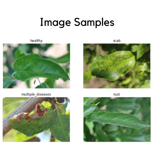 image-samples